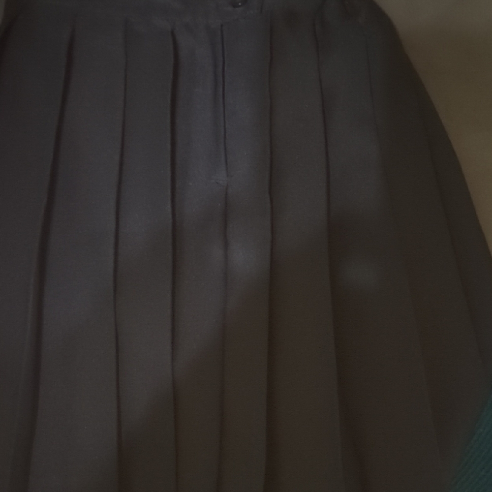Elegant Black Pleated Skirt